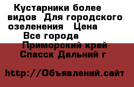 Кустарники более 100 видов. Для городского озеленения › Цена ­ 70 - Все города  »    . Приморский край,Спасск-Дальний г.